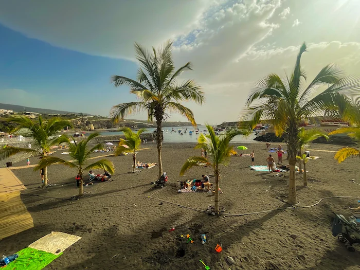 Black sand beach at Playa San Juan Tenerife with palm trees