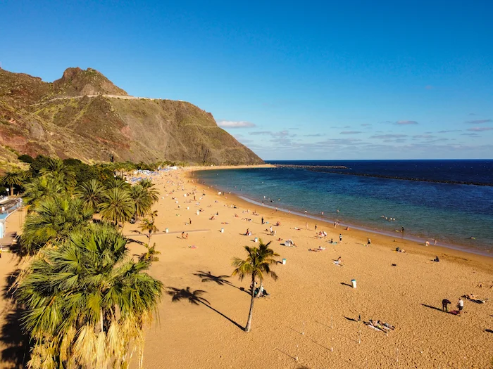 Palm trees standing on the golden sand of Playa de Las Teresitas under a clear blue sky.