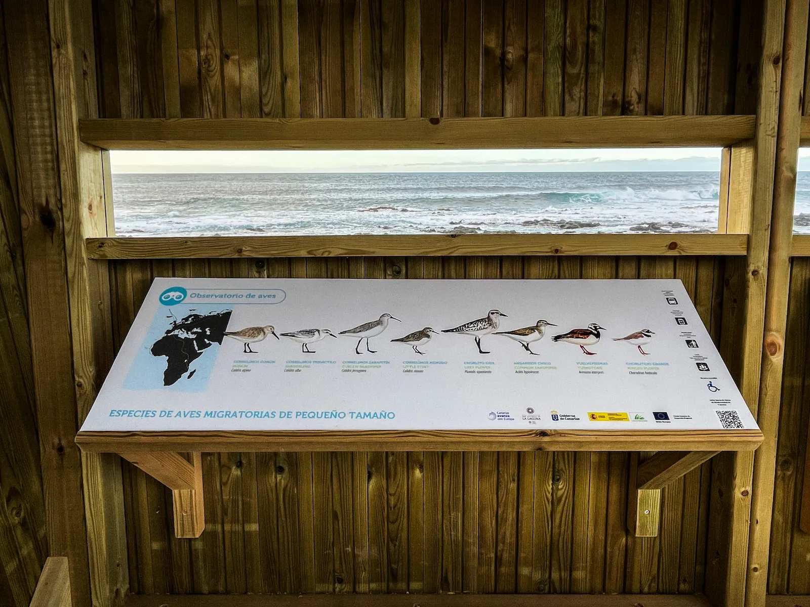 Bird identification board by the Punta del Hidalgo coastline