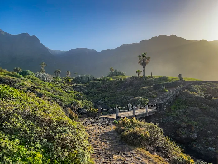 Buenavista del Norte walking trail with palm trees and cliffs in the background