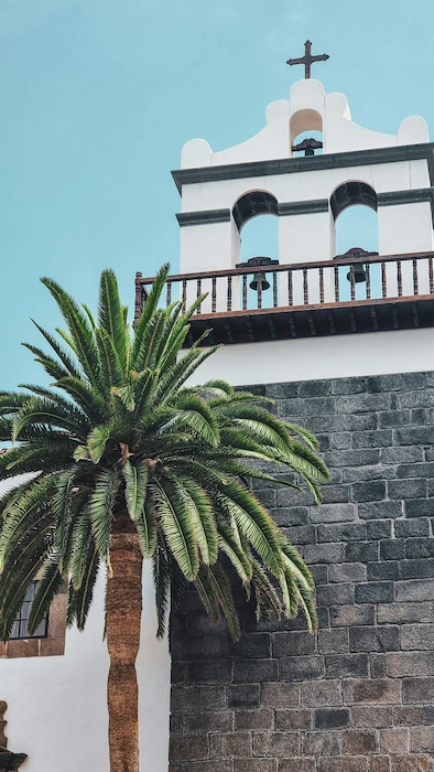 Bell tower of Convento de San Francisco in Garachico with palm tree and volcanic stone wall