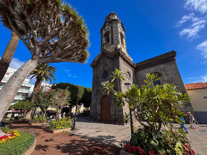 Stone church surrounded by drago trees in Puerto de la Cruz