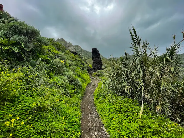 Lush green valley on the Afur to Taganana trail
