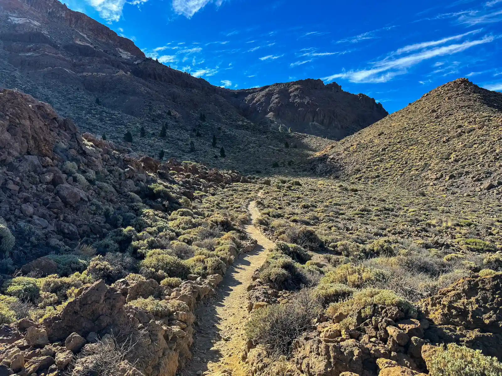 Mountain trail surrounded by volcanic hills on the Alto de Guajara hike