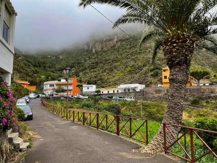 Chamorga village surrounded by laurel forest and mist