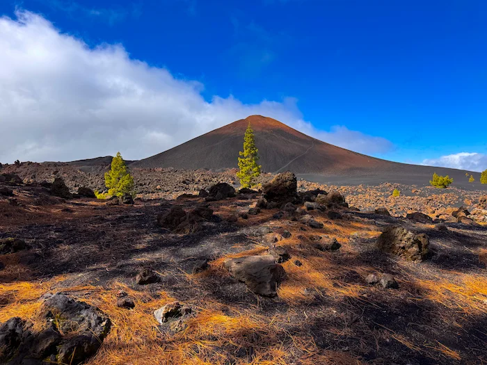 Volcán de Chinyero with lava field and pine trees under blue sky