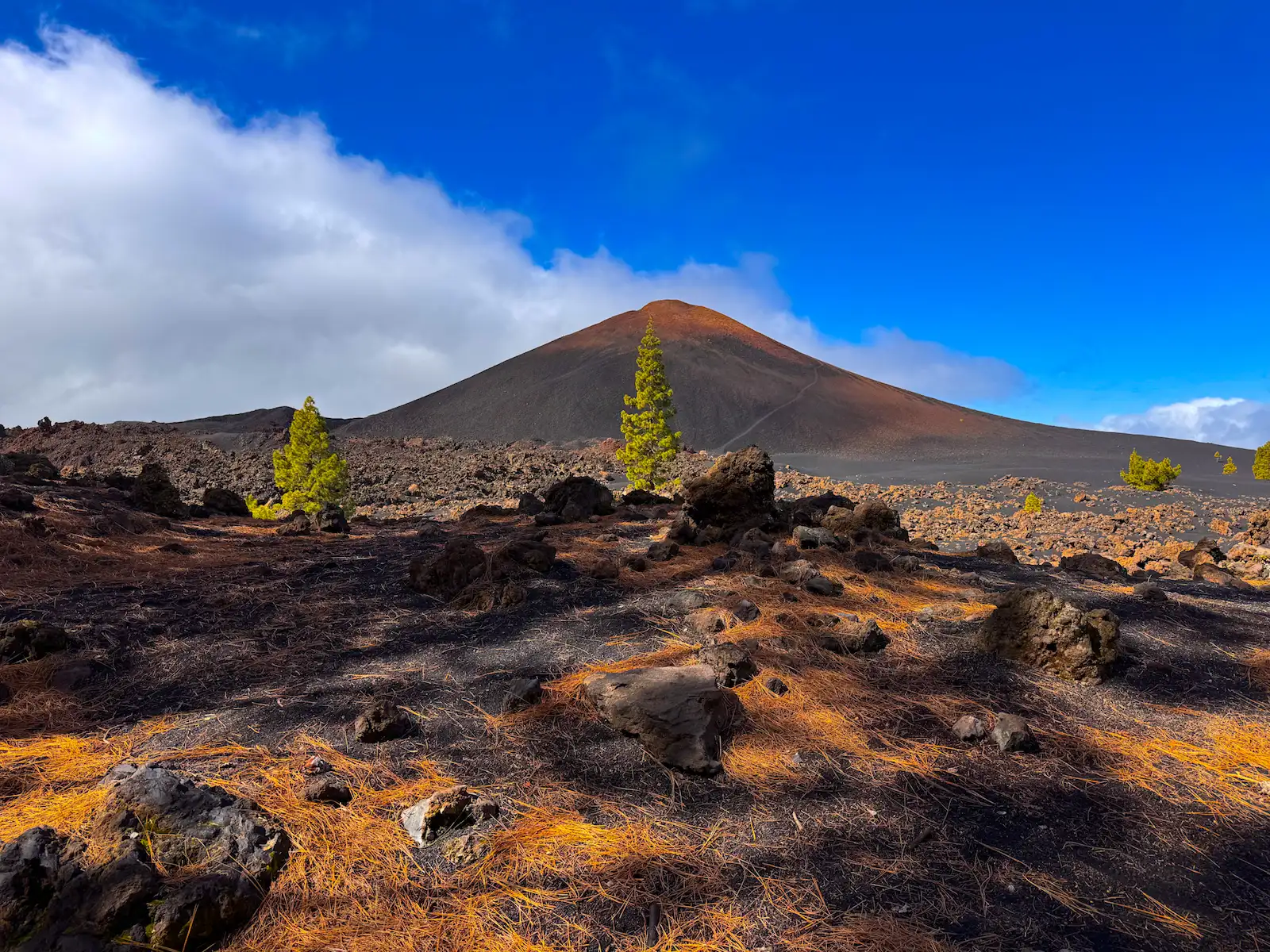 Volcán de Chinyero with lava field and pine trees under blue sky