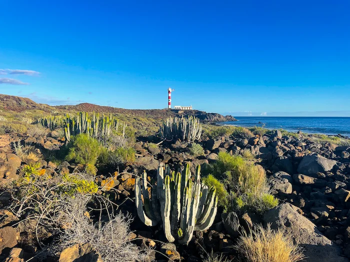 Red and white lighthouse near Faro de Rasca surrounded by cactus
