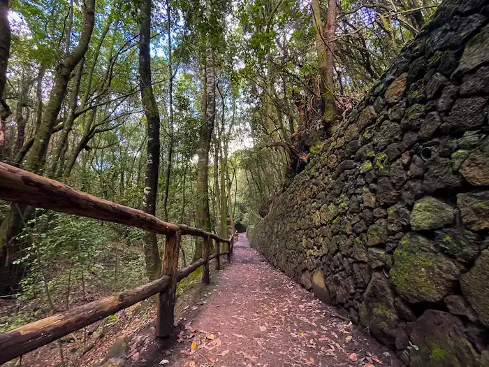 Path with old stone wall at Agua García trail