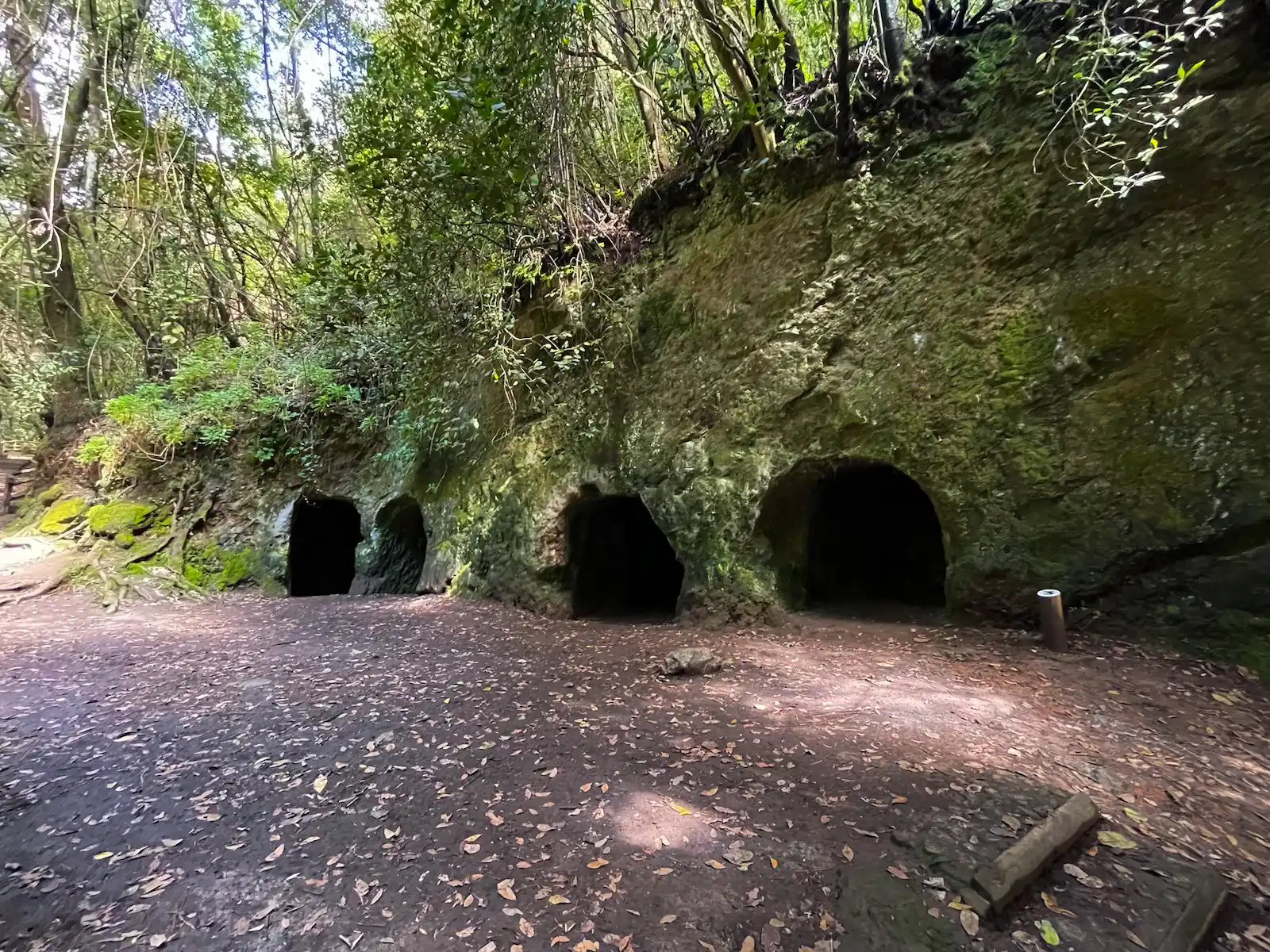 Ancient lava tunnels at Agua García trail Tenerife