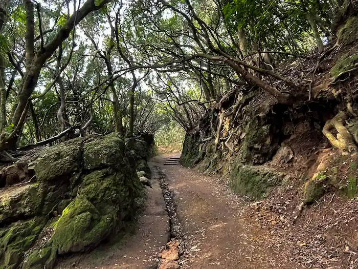 Sendero de los Sentidos dirt path Anaga Tenerife