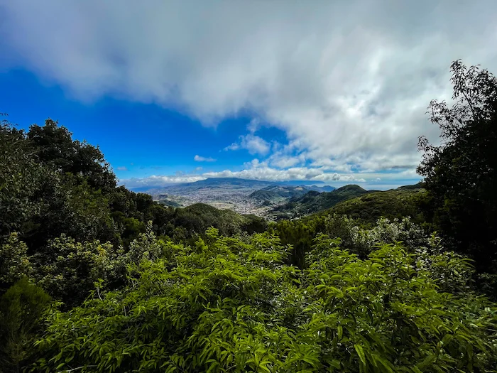 Anaga Rural Park lush forest and sky