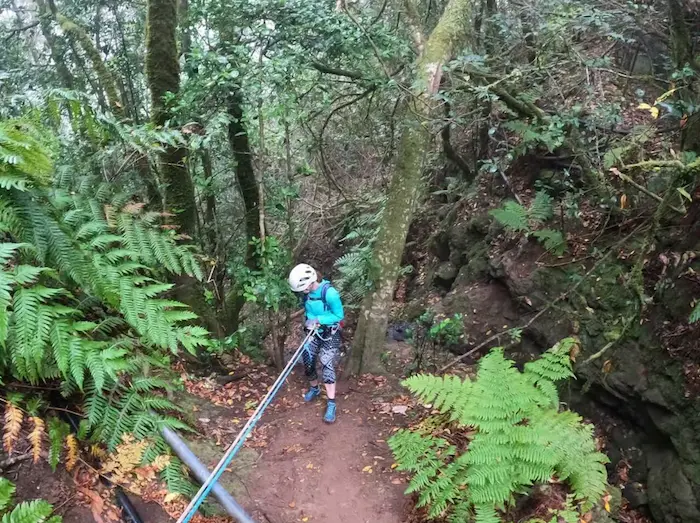 Person canyoning in the dense forest of Anaga Rural Park in Tenerife