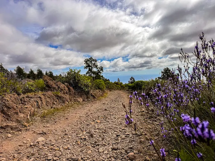 las vegas south tenerife hike trail through rural landscape and volcanic terrain