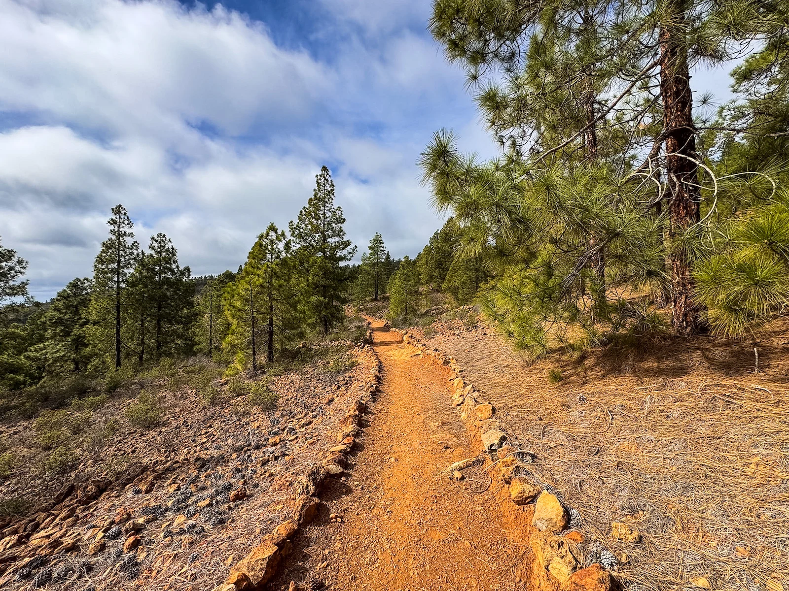 las vegas south tenerife hike trail through rural landscape and volcanic terrain