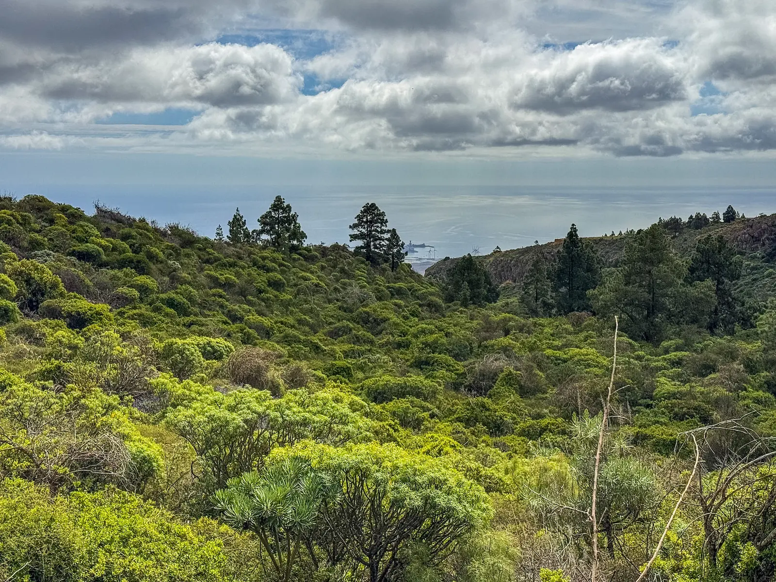 las vegas south tenerife hike trail through rural landscape and volcanic terrain